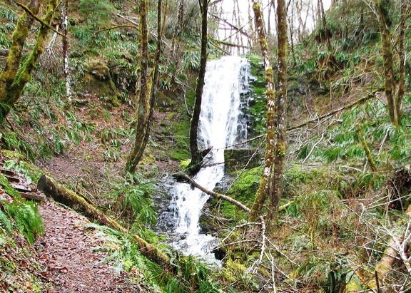 Just across the road from the Footbridge Trailhead is a trail along a small stream that leads to this waterfall. This shows Bridge Creek Falls in early spring.