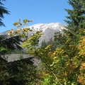 Mt. St. Helens viewed from near the June Lake Trailhead. The end of September is usually the best time for fall colors along this trail.