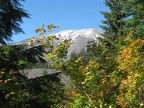 Mt. St. Helens viewed from near the June Lake Trailhead. The end of September is usually the best time for fall colors along this trail.