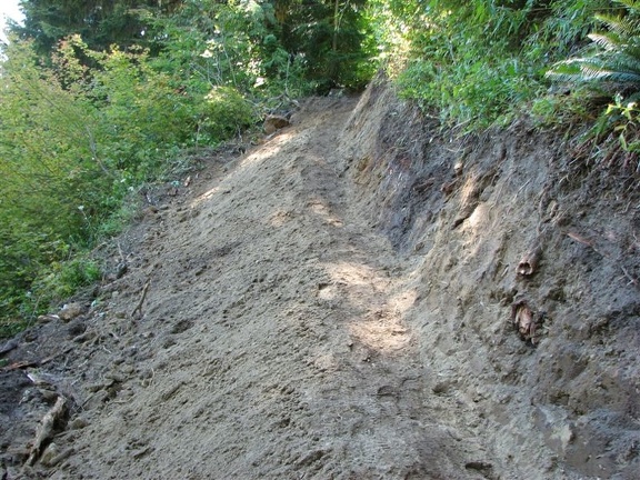 This section of the June Lake Trail is just above June Lake. You can see the recent trail maintenance in September 2010 has restored the tread.
