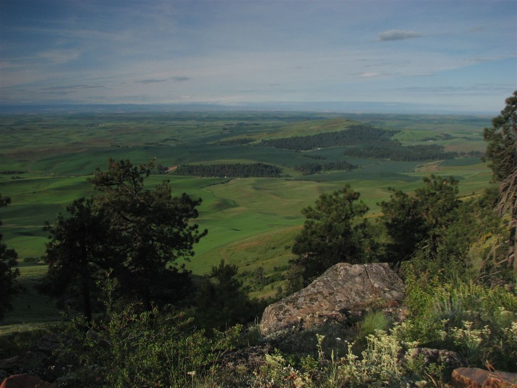 Looking south from Kamiak Butte over the farms and ranches of the Palouse.