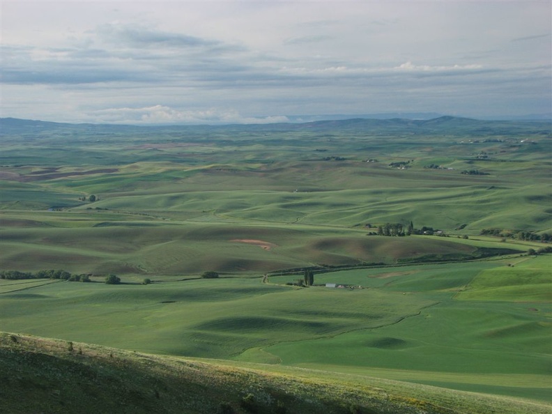 The fields of wheat, lentils, and soybeans are still green in early July. This view is looking southeast from Kamiak Butte over the Palouse.