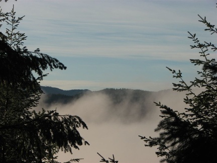 Looking west at the first good view of distant mountain ridges from the King's Mountain Trail in the Tillamook State Forest, Oregon.