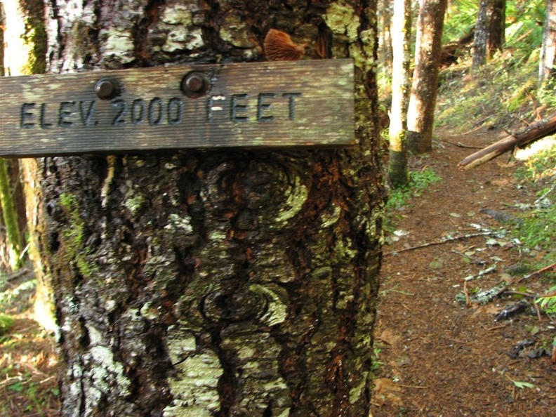 There are elevation signs every 1,000 feet to show how high you have climbed up towards the summit of 3,226 feet on the King's Mountain Trail in the Tillamook State Forest, Oregon.