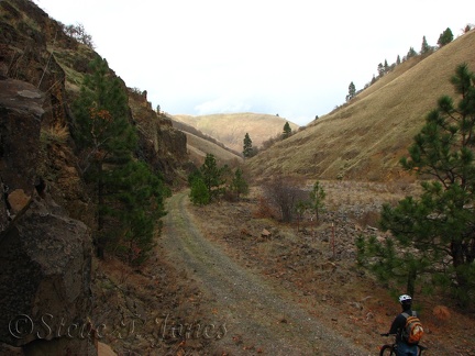 Looking down Swale Canyon you can see the gentle curves and easy downhill grade of the old railroad.