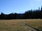 Hiking trail to Lake Eleanor at Grand Park in Mt. Rainier National Park. 