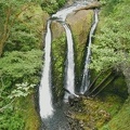 Triple Falls on the Oneonta Trail in the Columbia River Gorge.