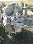 Gray Whale skeleton along along the Lewis and Clark Discovery Trail near Long Beach, WA. I thought this was a kind of frightening view of the skull.