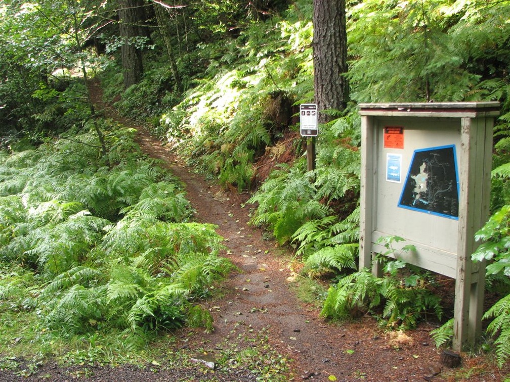 Lewis River Trailhead along Forest Road 90 about 1 mile west of the Lewis River near the Lower Falls Recreation Area Campground.