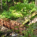 100 foot wood deck and steel girder bridge over a small stream along the Lewis River Trail.