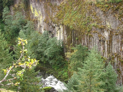 Columnar basalt along the Lewis River about 300 feet below the Lewis River Trail.