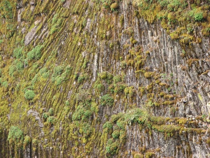 Columnar basalt along the Lewis River about 300 feet below the Lewis River Trail.
