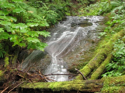 A small waterfall along the Lewis River Trail.