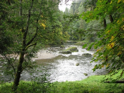 Lewis River along the Lewis River Trail.