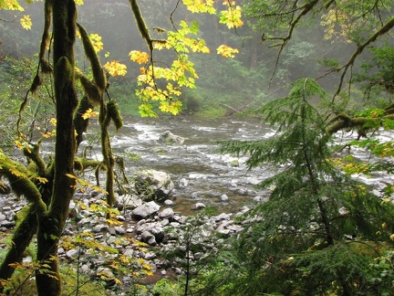 Lewis River along the Lewis River Trail.