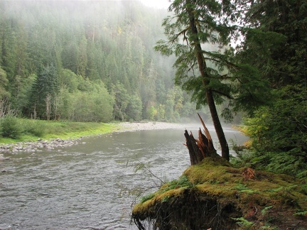 Lewis River along the Lewis River Trail.