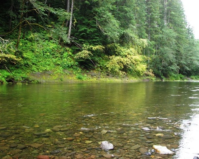 Lewis River near Forest Road 90.