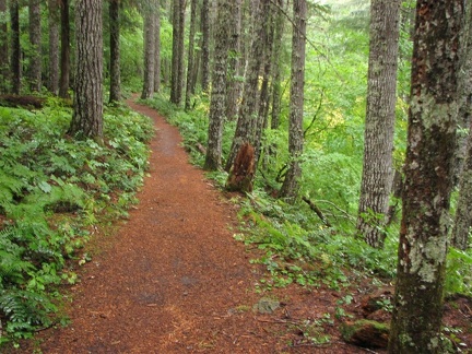 Lewis River Trail near the Lower Falls Recreation Area Campground.
