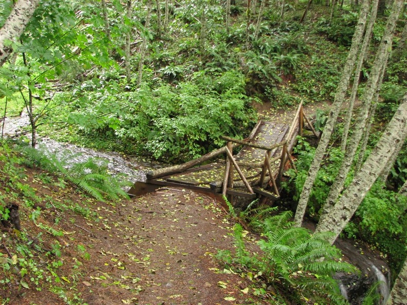 Broken bridge along the Lewis River Trail.