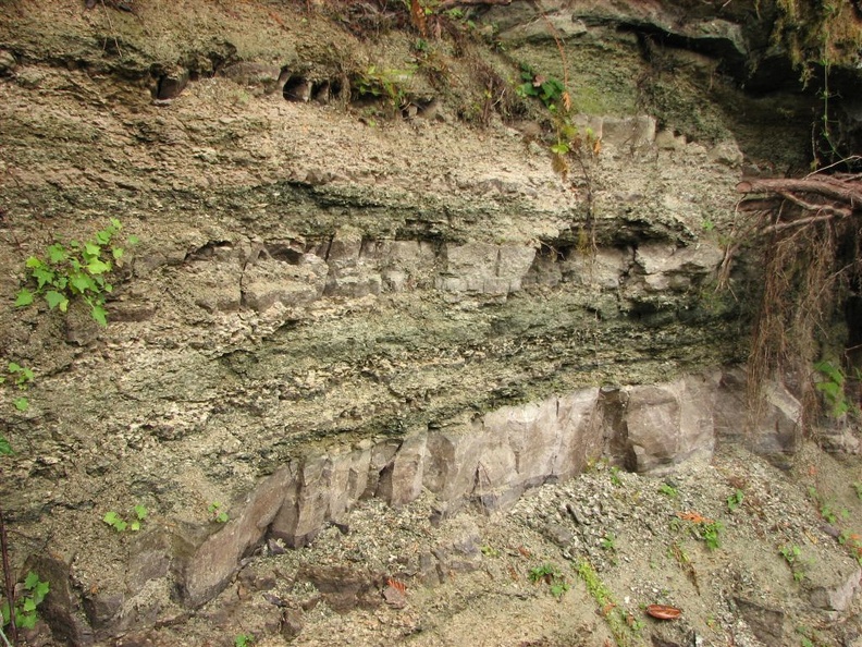 Layers of ash and volcanic rock along the Lewis River Trail.