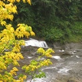 Above Middle Falls on the Lewis River in the fall of 2008.