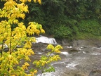 Above Middle Falls on the Lewis River in the fall of 2008.