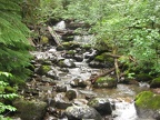 Small tributary flowing into the Lewis River along the Lewis River Trail.