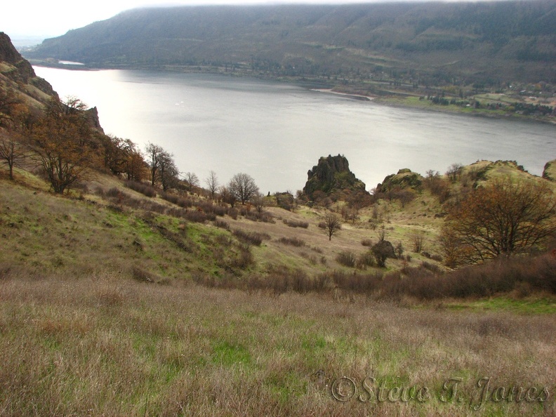 Looking towards the Columbia River you can see how the lack of rainfall prevents very many trees from growing along the Cherry Orchard Trail.