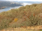 Continuing to climb above the river, there are nice views to the west. One lone oak tree holds onto its leaves late into the year.