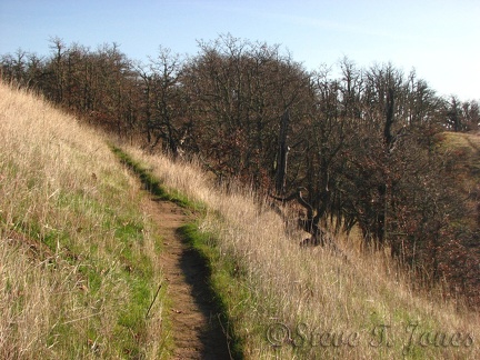 The trail is a fairly narrow track and can get muddy on rainy days.