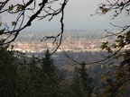 A break in the trees allows a view of the Portland industrial area from the Maple Trail.