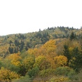 Extending the hike on the Maple Trail leads back to a junction to a knoll with this overlook of Forest Park. This is looking to the southeast.