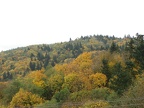 Extending the hike on the Maple Trail leads back to a junction to a knoll with this overlook of Forest Park. This is looking to the southeast.