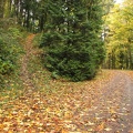 Extending the hike on the Maple Trail leads back to Leif Erikson Drive and this unnamed trail junction.