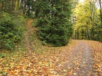 Extending the hike on the Maple Trail leads back to Leif Erikson Drive and this unnamed trail junction.