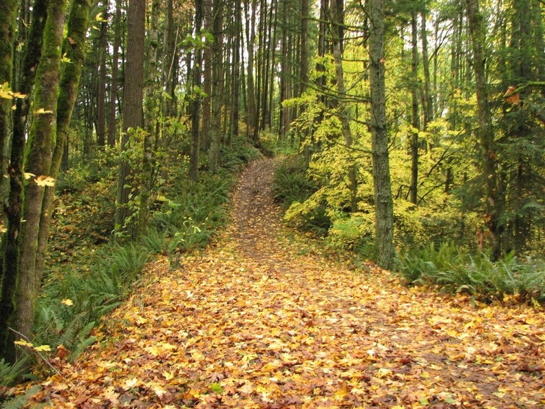 Extending the hike leads back to the Wildwood Trail.