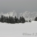 The snow just before the line of trees are many small cornices created from strong west winds blowing across Paradise Valley.