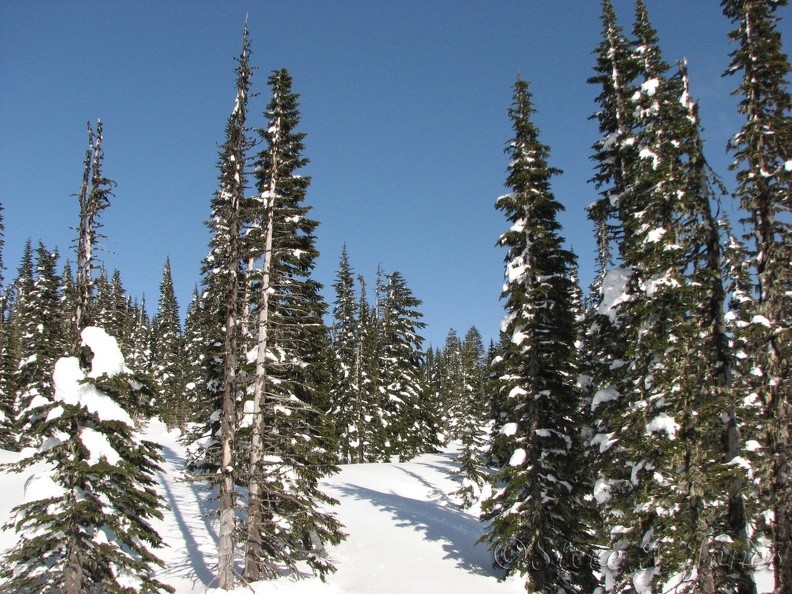 What a beautiful day for a snowshoe trip. I wish I could have stayed longer now that the clouds have melted away.