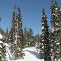 What a beautiful day for a snowshoe trip. I wish I could have stayed longer now that the clouds have melted away.