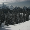 Looking at the Tatoosh Range from Paradise. The snow on the trees is really icy and frozen to the trees.