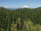 Mt. Adams on the right and Mt. Rainier on the left with Eden Park in the foreground. 