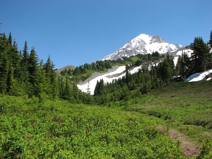 Taking a side trail near Cairn Basin reveals this tranquil view of Mt. Hood.