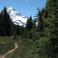 The Mazama Ridge trail tops out and provides this nice view of Mt. Hood.