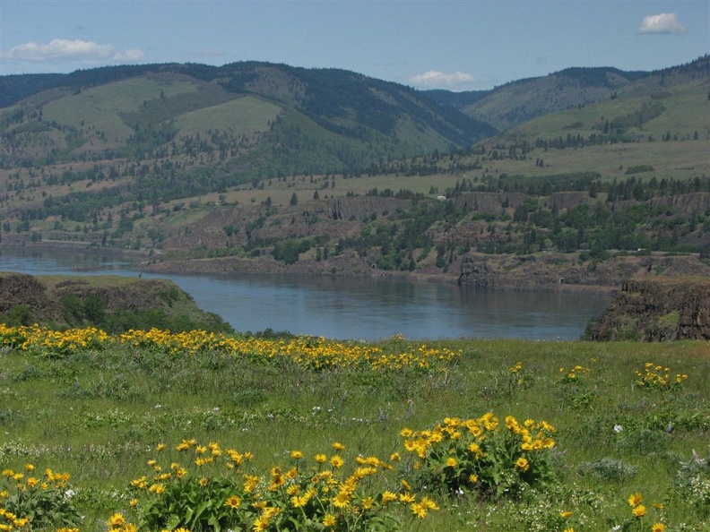 Looking towards Washington across the Columbia River Gorge from Rowena Crest at Tom McCall Nature Preserve.