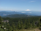 IMG 2583