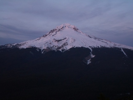 Such great views of Mt. Hood at the top of the trail