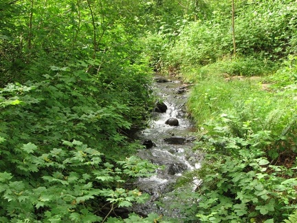The Moulton Falls Trail bridges this nice stream near the Hantwick Road trailhead.