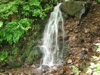 There is about a 10 foot waterfall next to the Moulton Falls Trail.