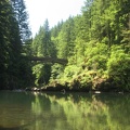 The Moulton Falls Trail crosses the East Fork of the Lewis River on a wood arch bridge.
