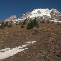 As you follow the Palmateer trail higher and higher the trees get smaller and smaller.